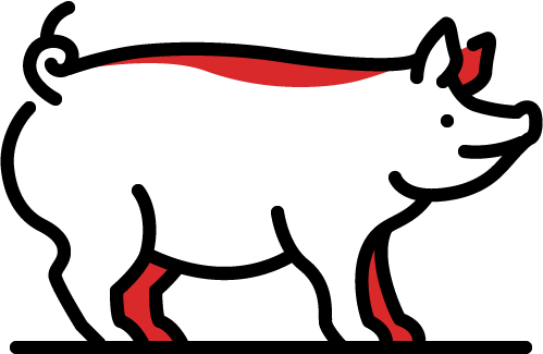 Cerdo Congelado
